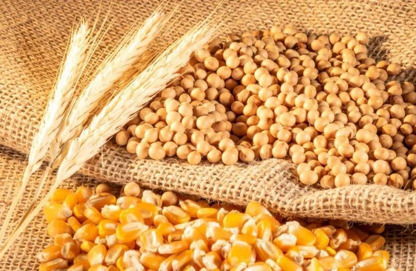 Нові правила реєстрації ПН при експорті агропродукції