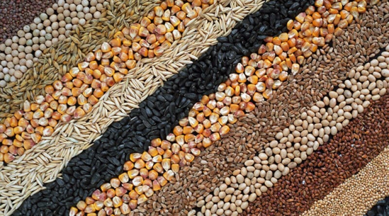 Нові правила мінімальних експортних цін на сільгосппродукцію в Україні