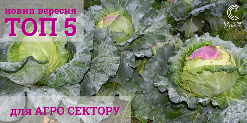 агро новини